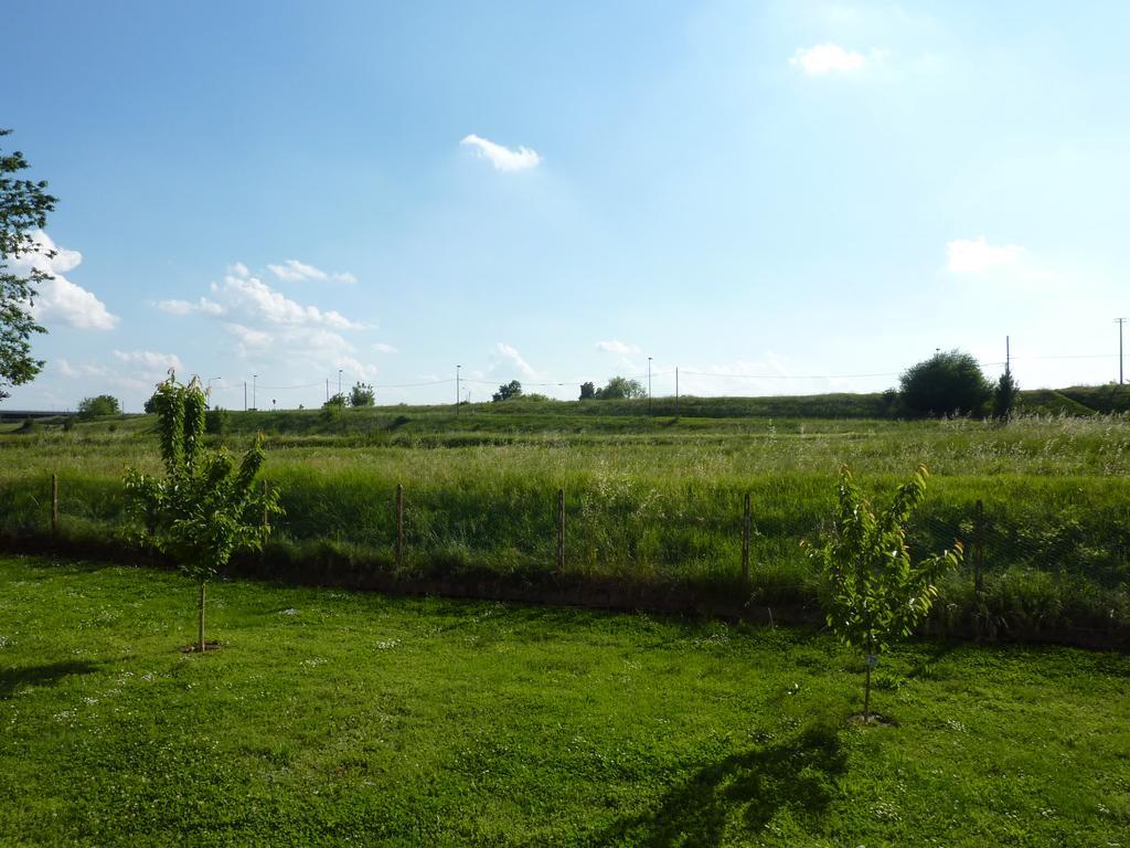 אסטה Azienda Agricola Marin מראה חיצוני תמונה